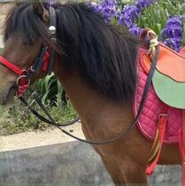 Horse saddle childrens saddle dwarf saddle small tourist saddle saddle harness complete set of pure cowhide dwarf saddle