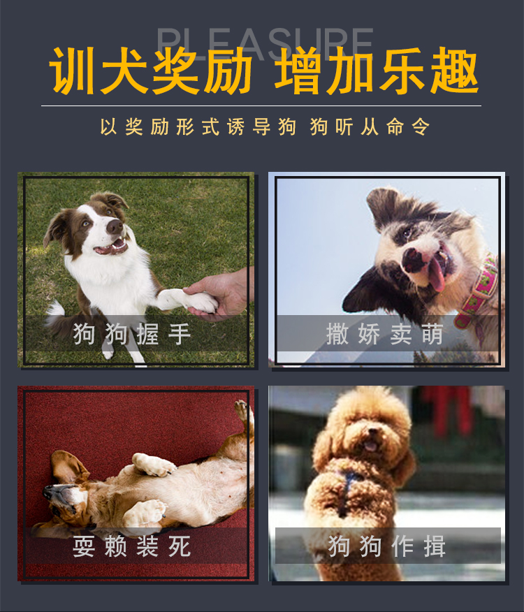 Dog Snacks Túi quà tặng Thịt bò Gà Gà Chips Bánh quy nhỏ Sushi Teddy Golden Retriever Giải thưởng đào tạo - Đồ ăn vặt cho chó thức ăn cho chó