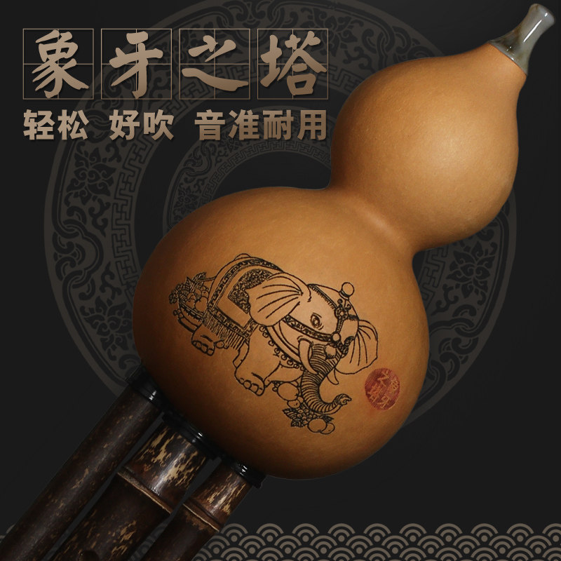 Bigbao gourd silk ivory tower Series C downgrade BDGFAE tune student children adult beginner performance type