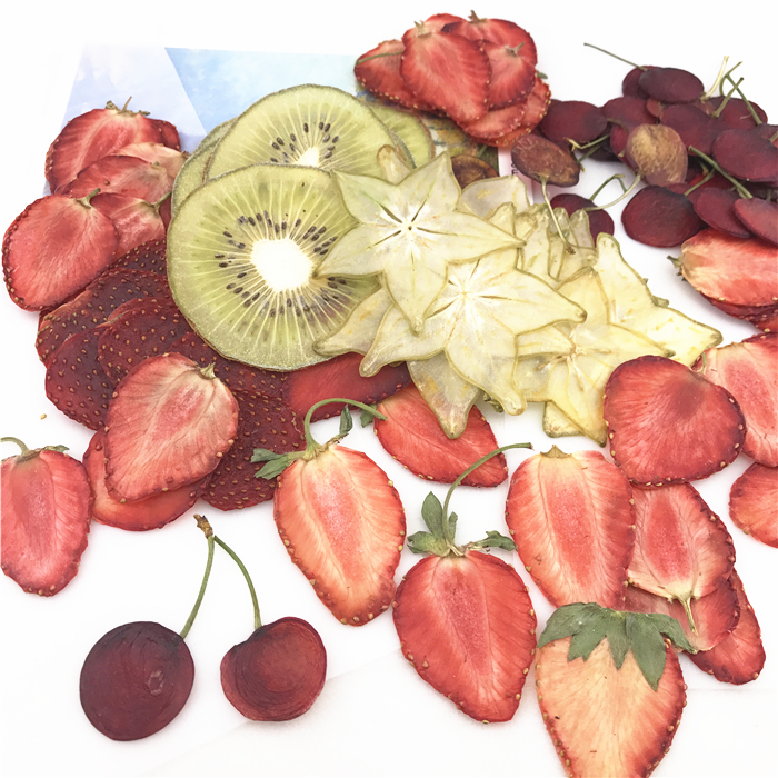 Strawberry specimen Lemon kiwi fruit Orange carambola fruit and vegetable specimen slice DIY drop glue fruit specimen