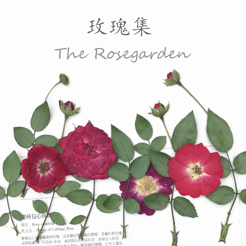 Rose dried flower Children DIY handmade aromatherapy wax candle Mobile phone protective shell Plant photo frame shooting props