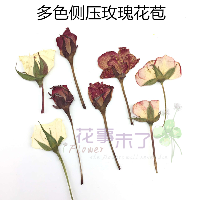 Side pressure rosebud dry flower flower painting embossing plant specimen epoxy mobile phone protective shell diy flower thing is not done