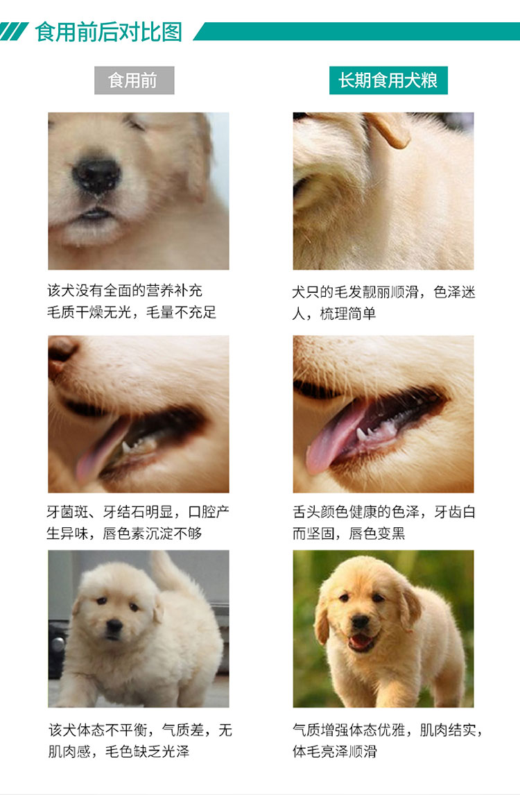 Chó nhà hoàn hảo thức ăn cho chó trưởng thành Chó lớn loại chung 20kg40 kg Jin Mao Samoyed Husky - Chó Staples pate chó