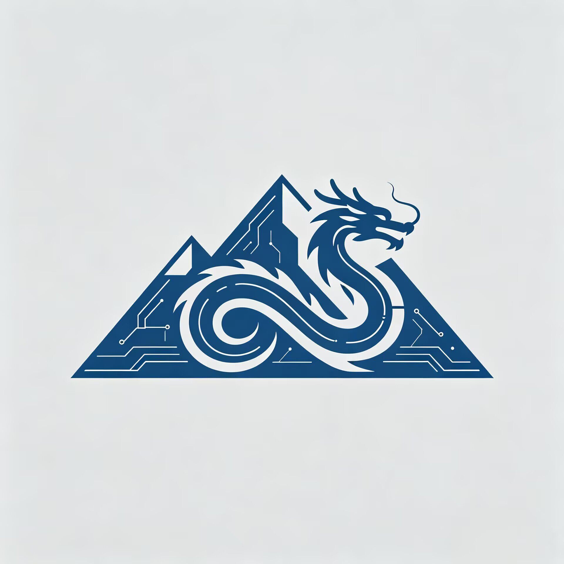 龙山科技分店的LOGO