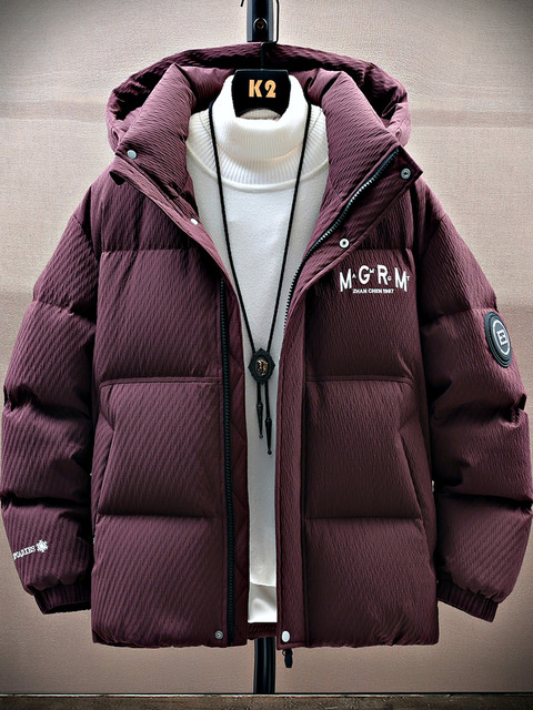 Down Jacket Winter New Style American Style Youth Thick Hooded Jacket Casual Simple Warm Thick down Jacket