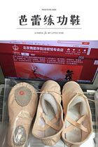  Cat claw shoes Soft-soled shoes Dance practice soft cloth-shaped cat claw shoes Ballet body practice performance dance meat pink shoes