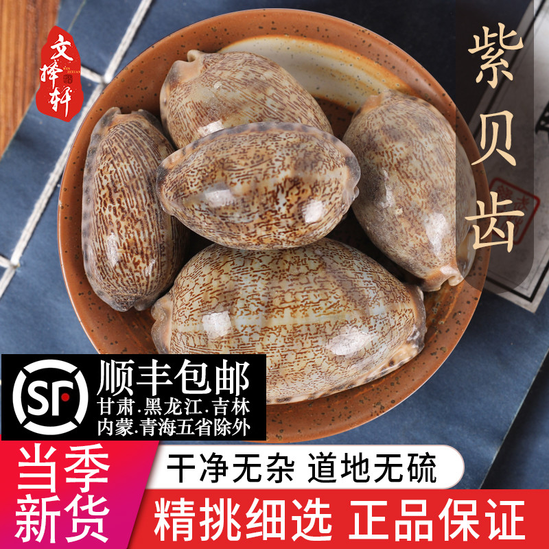 中药材特级天然紫贝壳 文贝 正品紫贝齿 龙贝齿 药用50克
