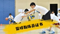 Youth Basketball Coach Training Adult Basketball Coach Training Basketball Coach Certificate