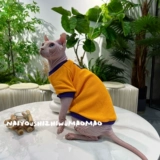 奶油是只无毛猫 Новая чистое хлопковое сфинкс Devin Internet знаменитость Pet Cat Universal Elastic Free Dropping Бесплатная доставка