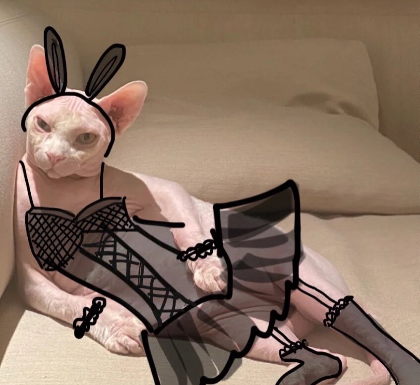 Freight pay price (all store can customize four feet Oh details can consult customer service)