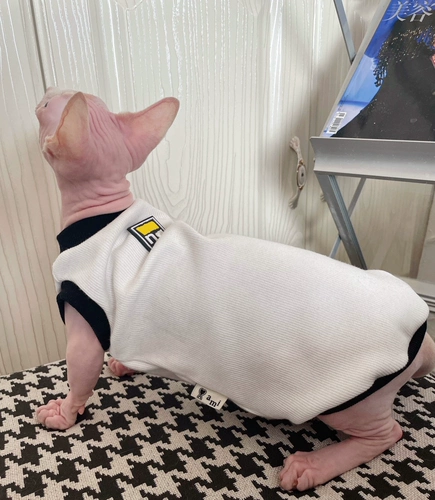 奶油是只无毛猫 Sphinkist Pet Cat Одежда чистая хлопковая безволоса