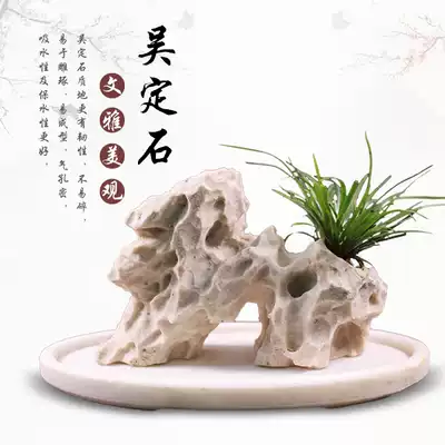 Taiwan Wu Dingshi water-absorbing stone bonsai basin dragon beard calamus flower pot planting small ornaments decorative natural rough stone carvings