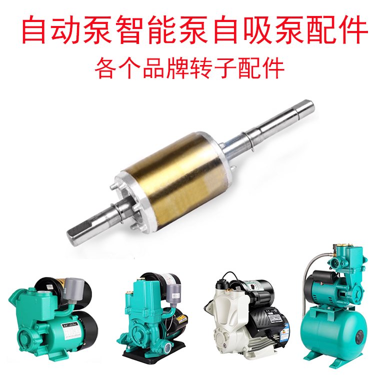 Water Pump Accessories Rotor 200W Fully Automatic Booster Pump Rotor Pressure Pump Rotor Self-Priming Pump Smart Pump Rotor