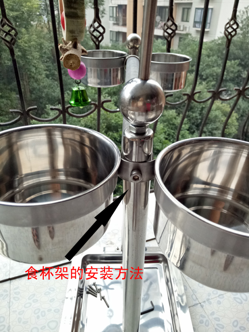 Vừa và lớn thép không gỉ đứng parrot đứng chim đứng đứng bar thường vụ stick và chim nguồn cung cấp lồng sắt nuôi chim