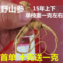 Wild ginseng Wild mountain ginseng First-class product Changbai Mountain Ginseng Wild Mountain ginseng Wild dried ginseng Wild mountain ginseng pruning residue
