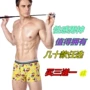 Phim hoạt hình đồ lót nam boxer bốn góc thanh niên giữa eo quần dễ thương gợi cảm hơn phương thức cotton thoáng khí quần lót nữ sinh