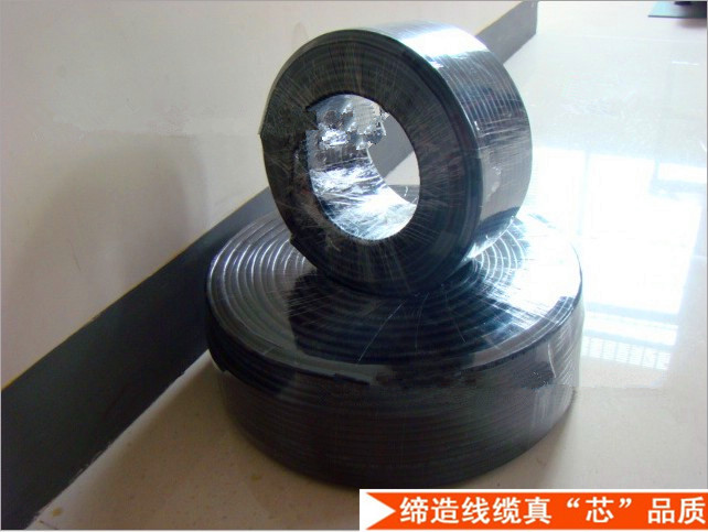 RVV2 * 0 5 0 75 1 0 squared RVV4 * 0 5 1 0 power cord monitoring alarm 2-core sheath wire