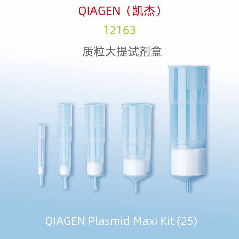 QIAGEN 12163 质粒大提试剂盒 QIAGEN Plasmid Maxi Kit(25) 科研