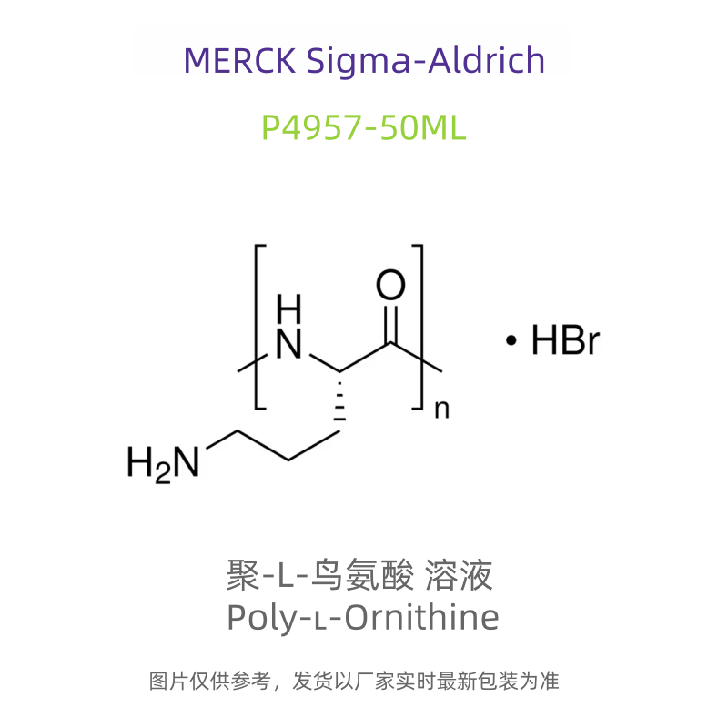 Sigma   P4957-50ML  聚-L-鸟氨酸 溶液  科研试剂