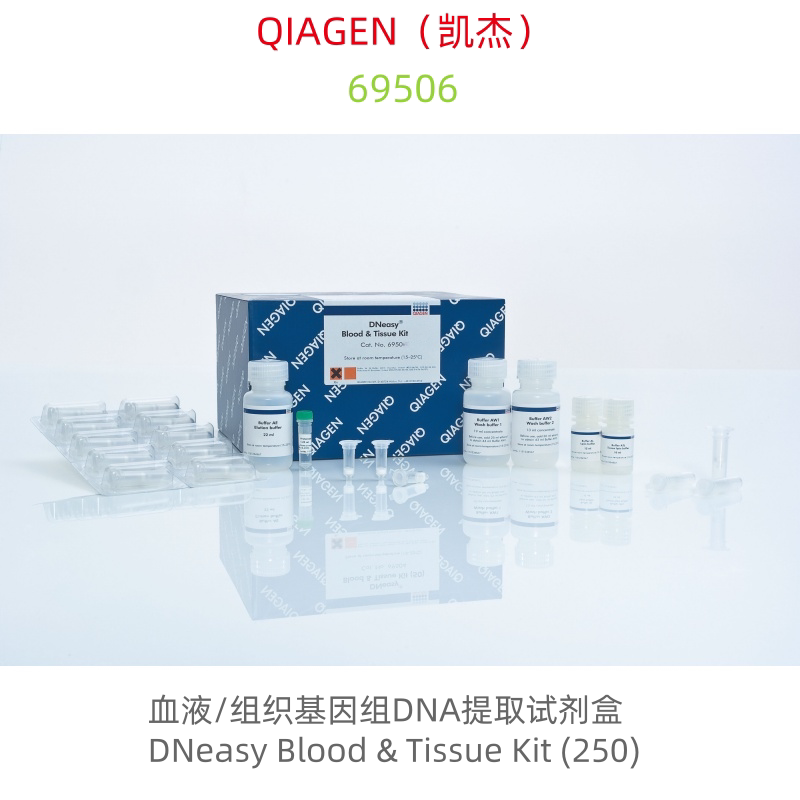 QIAGEN(凯杰) 69506 血液/组织基因组DNA提取试剂盒 250T科研试剂