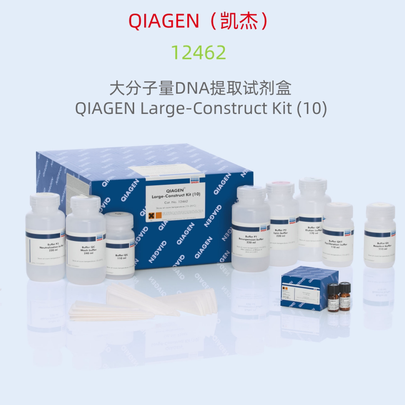 QIAGEN(凯杰) 12462  大分子量DNA提取试剂盒 10T  科研试剂