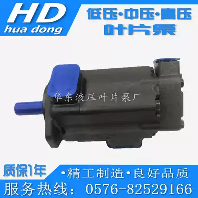 Vane pump 2520V-12 14 15 17 19 21A3 4 5 6 7 8 9 10-1A1 B C D-22R