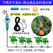 Household rain sensing automatic watering device timing garden watering equipment micro-spray atomized spray nozzle controller
