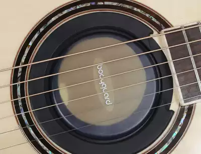 Bodyguard Series Guitar Humidifier