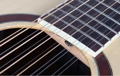 Corbin Corbin 12 String Guitar MDG365CE