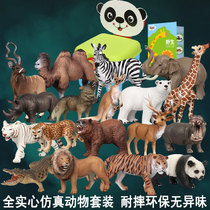 Simulation animal model set Dinosaur toy Forest safari Ocean underwater world static ornaments