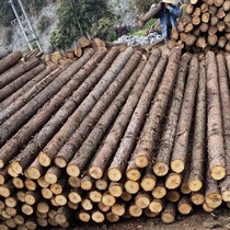 Fir larch log piling wood landscape greening tree support pole flood control river slope protection foundation log