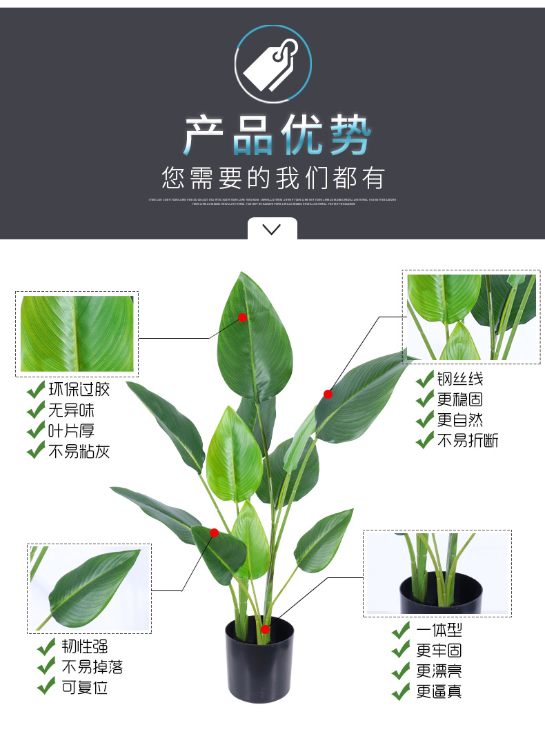 北欧植物详情2_08.jpg