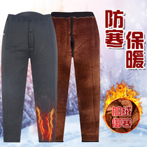 Camel hair cotton trousers mens winter plus velvet thickened high waist middle-aged and elderly people Northeast wool warm pants dad trousers