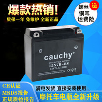 12N7B motorcycle battery 12V7A five sheep thin battery battery maintenance-free dry battery New Continent 125