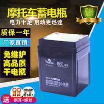 Motorcycle battery 12V2 5AH old five WY sheep motorcycle 12N2 5L-A maintenance-free battery YB2 5L