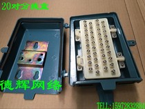 Factory price direct sales 20 pairs of outdoor telephone large logarithm cable wiring box Wiring box Plus copper quality