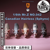 Spot MR Z 1 6 simulation animals 42nd bullet Canadian hairless cat full 5-color ornaments hand-made landscape products