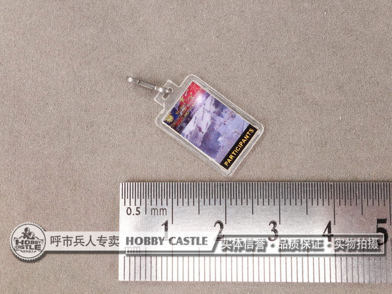 1 6 soldiers DAMTOYS DAM 78048 special forces ring arrow badge badge model