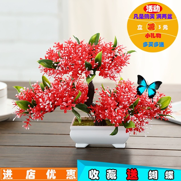 Phòng khách giả hoa trang trí mô phỏng đồ trang sức nhỏ trong chậu nhựa hoa trang trí bonsai phòng ngủ TV tủ cà phê trang trí bàn - TV