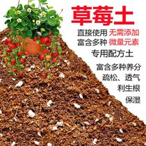 Strawberry Special Earth Nursery Potted Potted Plant Home Balcony Nutrient Soil Cultivation Vegetable Water Fruit Tree Peat Soil Universal