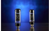 British sound PSVANE Noble Voice EL34 EL34 6CA7 6P3P KT66 KT66 Electronic Tube Superprice