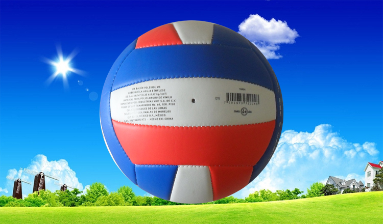 Ballon de volley-ball - Ref 2007907 Image 27