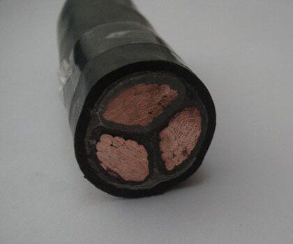 Hangzhou Zhongcheng Brand Wire and Cable ZR-YJV3*25 square three core power hard cable national standard copper core foot rice