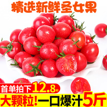  Virgin fruit Millennium small tomato 5 kg Fresh fruit seasonal tomatoes Seasonal whole box vegetable batch