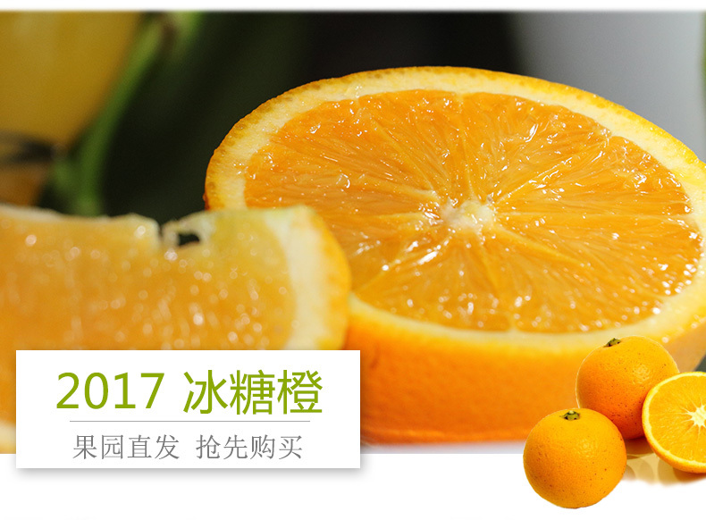 麻阳冰糖橙10斤包邮现摘现发橙子新鲜当季水