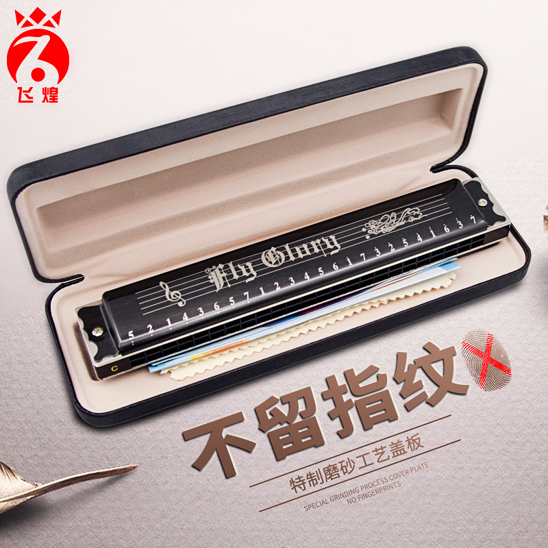 Germany imported Feihuang harmonica 24-hole polyphonic harmonica Professional performance level Beginner Adult men's advanced musical instrument