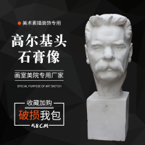 Gypsum statue Golgi head plaster portrait art teaching aids sculpture sketch model art supplies sketches