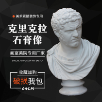Gypsum statue Crickella plaster portrait art teaching aids sculpture sketch model art supplies sketches