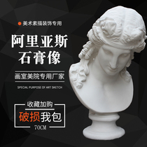 Plaster statue Arias Plaster head statue Art supplies Sketch teaching aids Sculpture ornaments Sketching sketch model