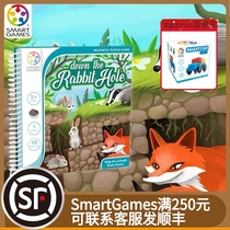 Belgian Smart Games Little Rabbit Anists Martgames Puzzle Toy Table Tour Planning Capability Magnetometric